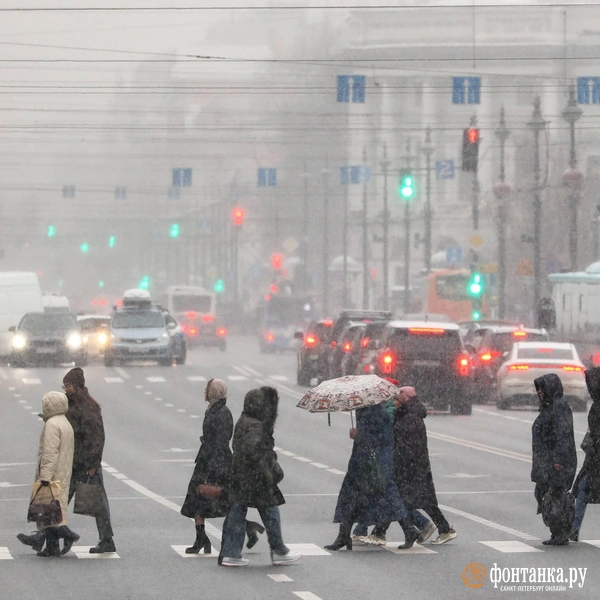 Источник: Сергей Михайличенко / «Фонтанка.ру»