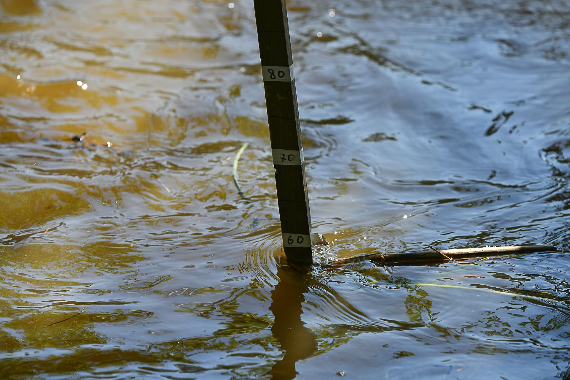 Скоро затопит? Уровень воды в рязанских реках поднялся — карта