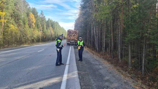 Ногу спасти не удалось | Источник: УГИБДД по Свердловской области