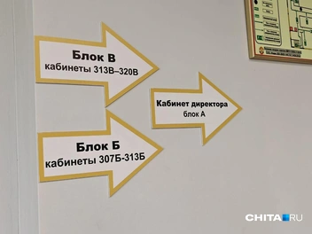 Источник: Тамара Ван-Фу-Ли / CHITA.RU