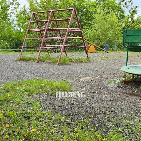 Источник: vl.ru
