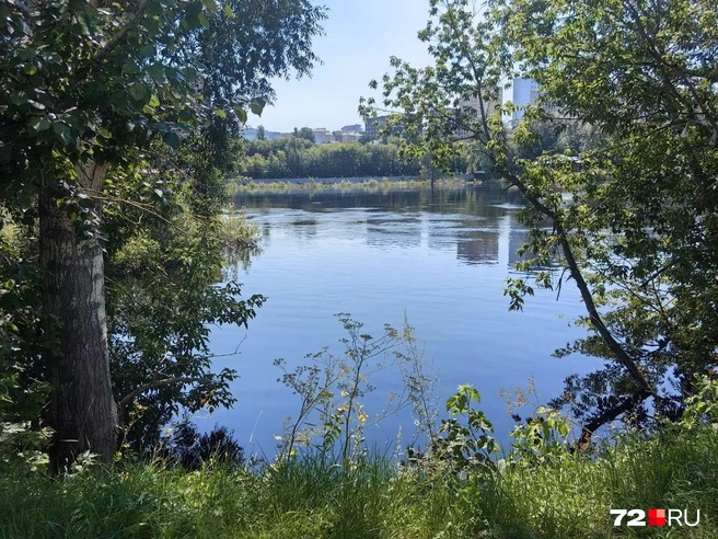 Воды и вправду очень много  | Источник: Павел Красоткин / 72.RU 