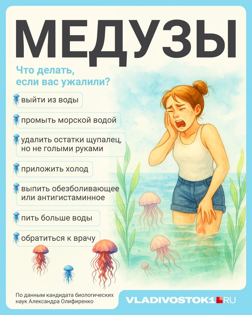 Источник: Полина Авдошина / Городские медиа