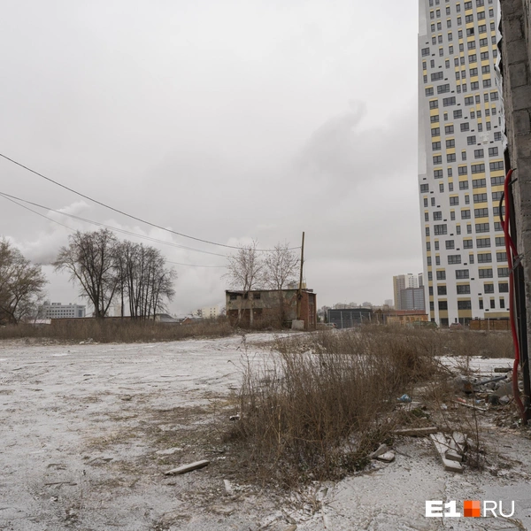 Источник: Кирилл Кушнов / E1.RU