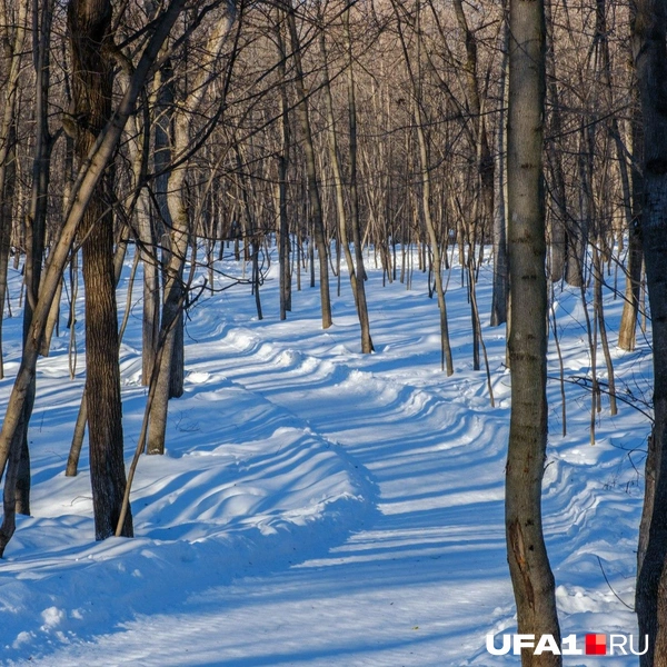 Источник: Булат Салихов / UFA1.RU