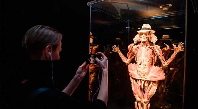 Выставка BODY WORLDS: небывалый ажиотаж и положительные отзывы посетителей