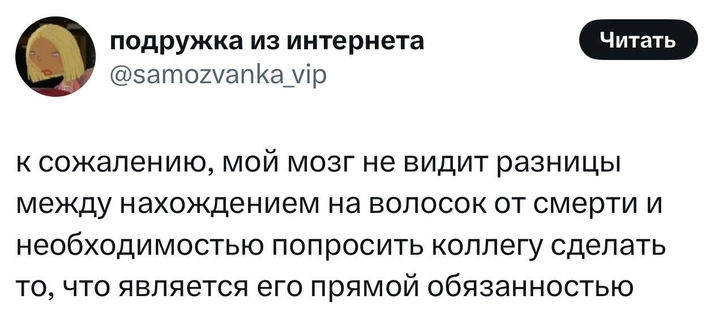 Источник: X (Twitter)