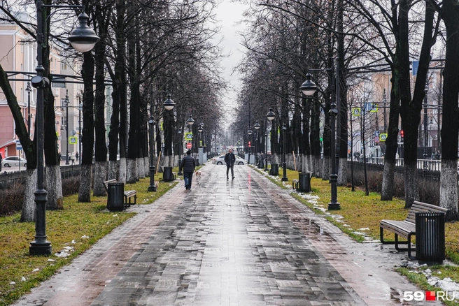 На тротуарах лужи | Источник: Тимофей Калмаков / 59.RU