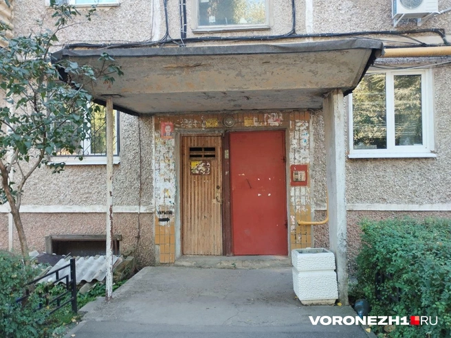 Источник: Дмитрий Волгин / Voronezh1.ru