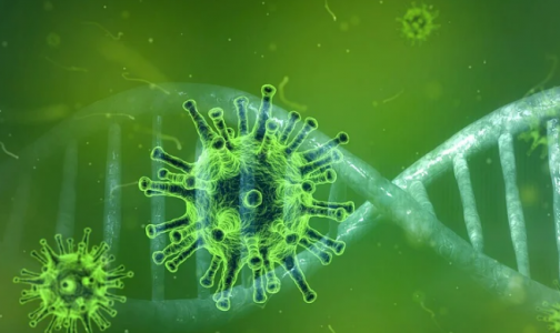 Первый "домашний" тест на антитела к коронавирусу скоро может появиться в аптеках. Разработчики говорят о его 96% эффективности