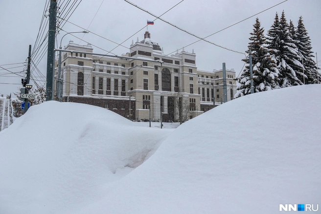 Нижегородец выиграл суд с продавцом маркетплейса | Источник: Наталья Бурухина / NN.RU