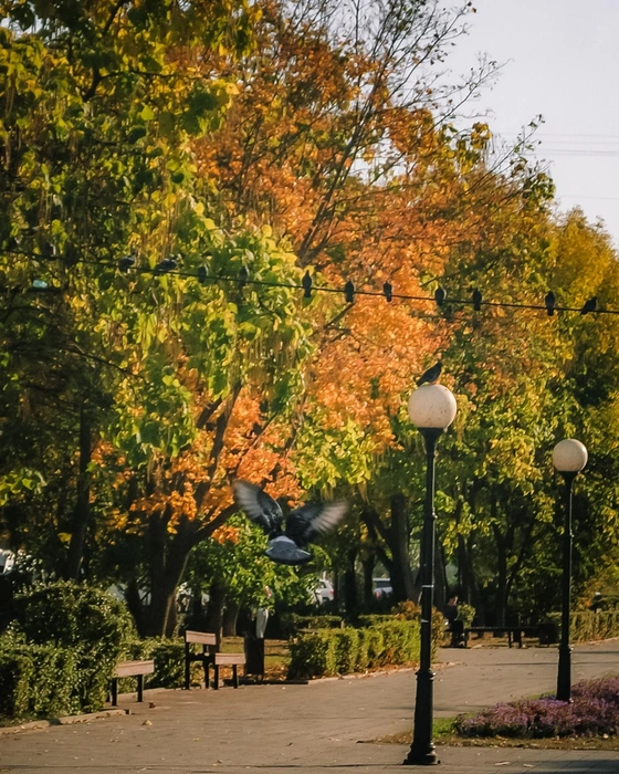 Источник: Юлия Воропаева