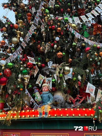 Источник: 72.RU