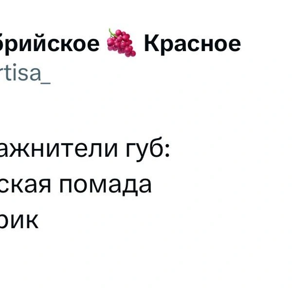 Источник: X (Twitter)