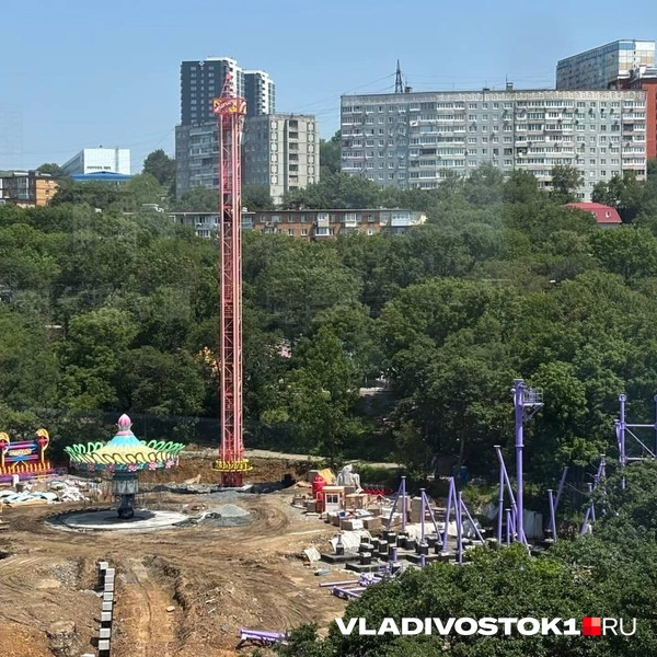 Источник: Елена Буйвол / VLADIVOSTOK1.RU