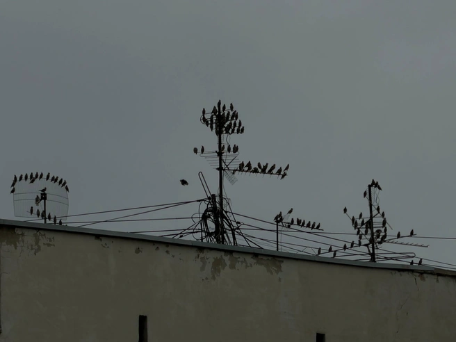 Источник: Анастасия Якупова / E1.RU