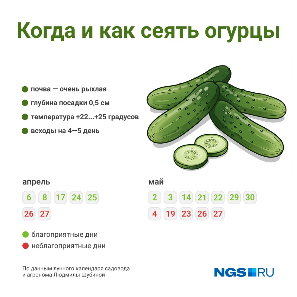 Сохраните полезную картинку | Источник: Юрий Орлов / Городские медиа