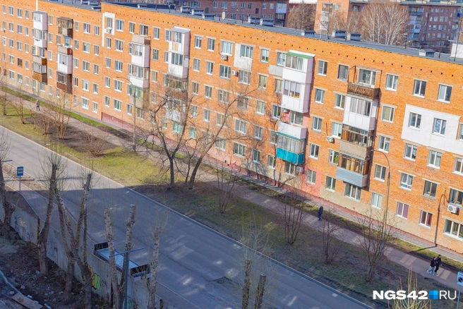 Источник: Лера Городецкая / NGS42.RU