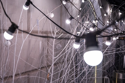 23 марта на Ставрополье в 23 населенных пунктах отключат электричество