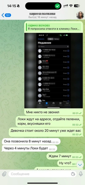 В день, когда все случилось, Родион был на нервах. Это видно по переписке | Источник: Родион Проводин