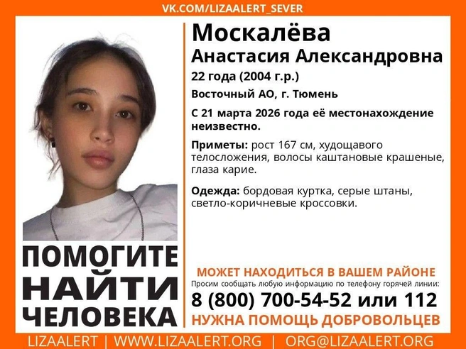 Источник: «ЛизаАлерт»