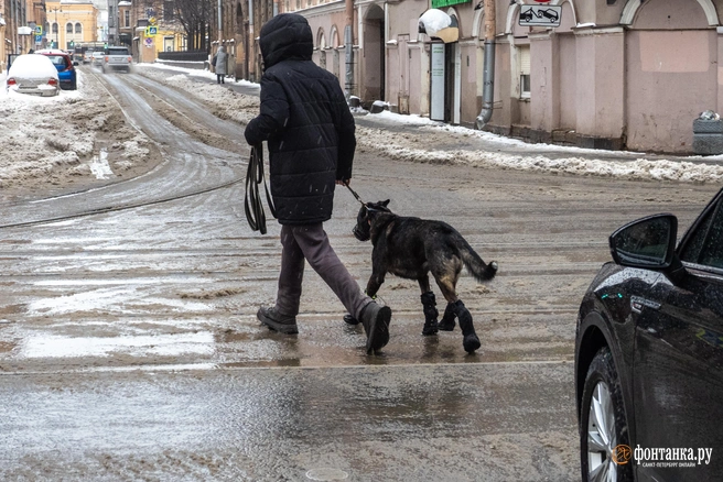 Сумма штрафа может достигать 30 тысяч рублей | Источник: Михаил Огнев / FONTANKA.RU