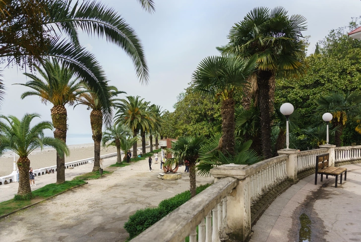 Приморский парк в Гагре | Источник: Garmasheva Natalia/Shutterstock/Fotodom.ru