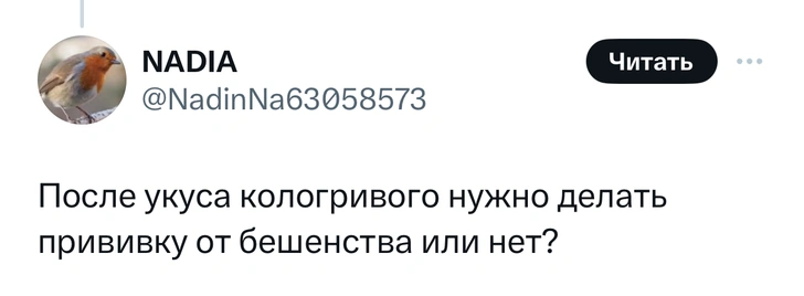 Источник: Twitter (X)