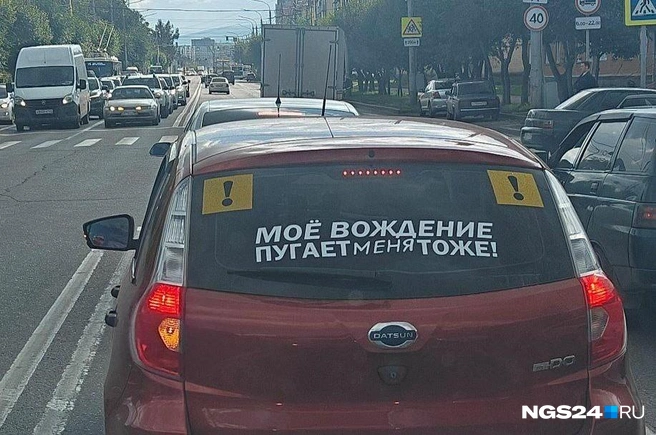 А жаль | Источник: Полина Бородкина / NGS24.RU