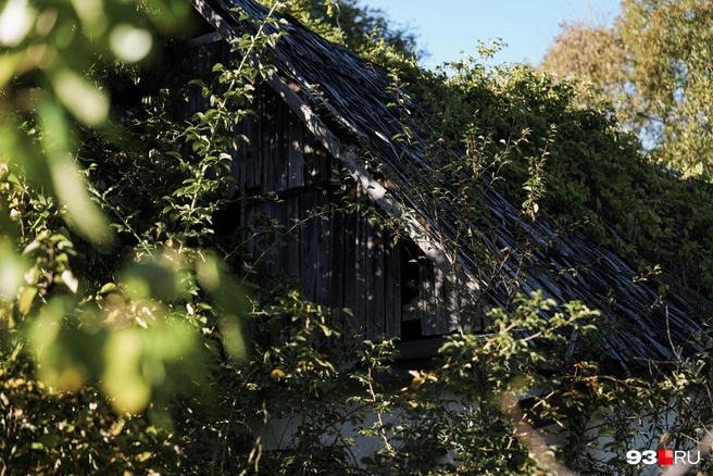 Один из оставленных поселковых домов | Источник: Дарья Паращенко / 93.RU