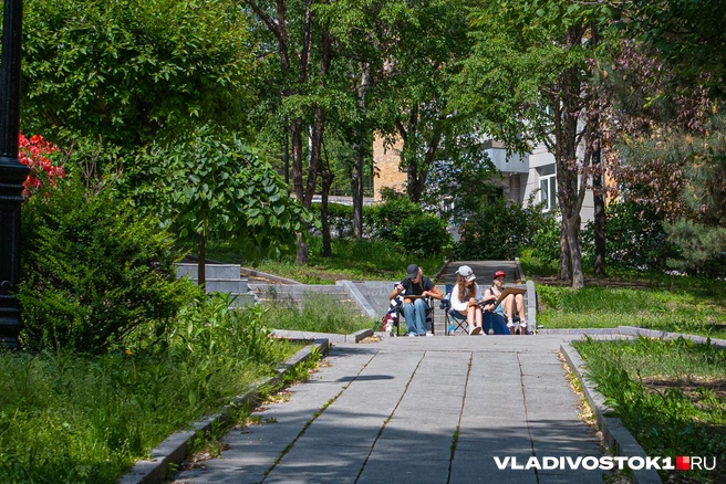Источник: Елена Буйвол / VLADIVOSTOK1.RU