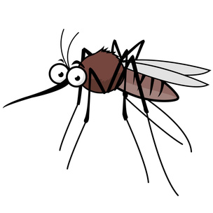 Тест: выберите комара, а мы расскажем, кто пьет вашу кровь