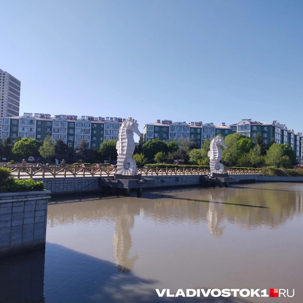 Источник: Екатерина Дымова / VLADIVOSTOK1.RU