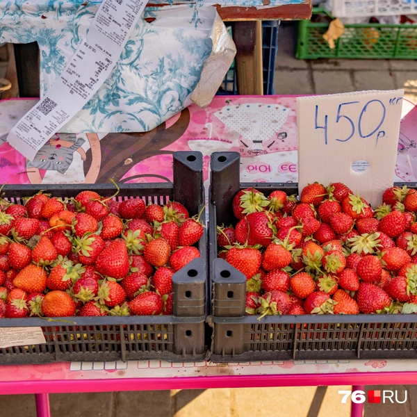 Клубнику можно купить за 400-600 рублей | Источник: Кирилл Поверинов / 76.RU