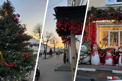 Почему в Ярославле в марте ещё стоят елки: ответ властей