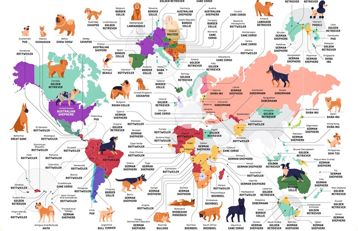 Карта: Самые популярные породы собак в каждой стране мира