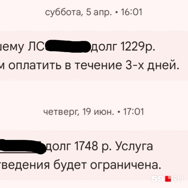 Поначалу уведомления хранились в «Спаме» и я их не видела | Источник: Наталия Главатских / 59.RU