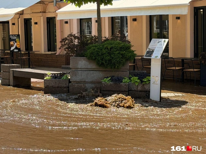 Сегодня весь Ростов в воде | Источник: Евгений Вдовин / 161.RU