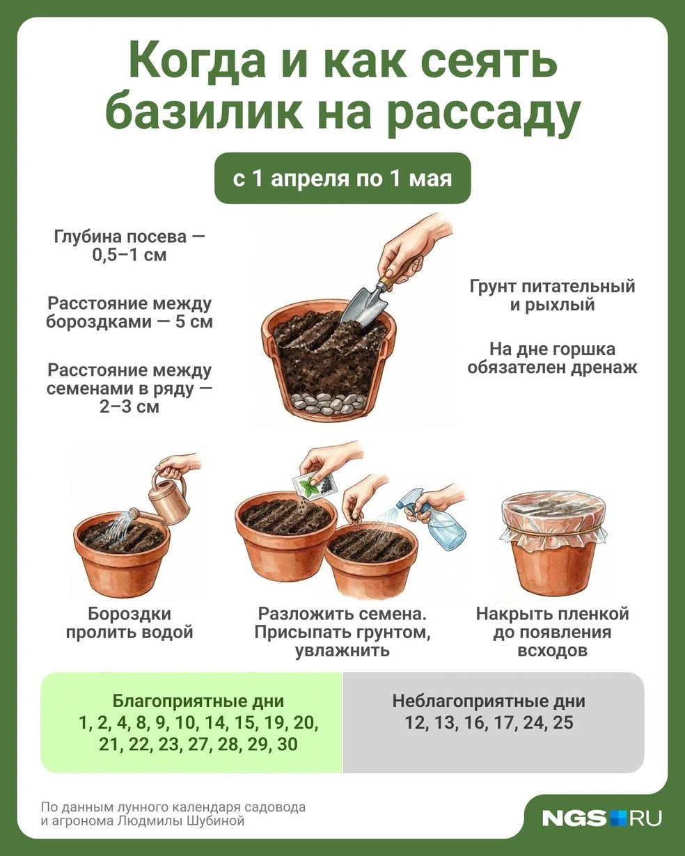 Источник: Семен Казьмин / Городские медиа