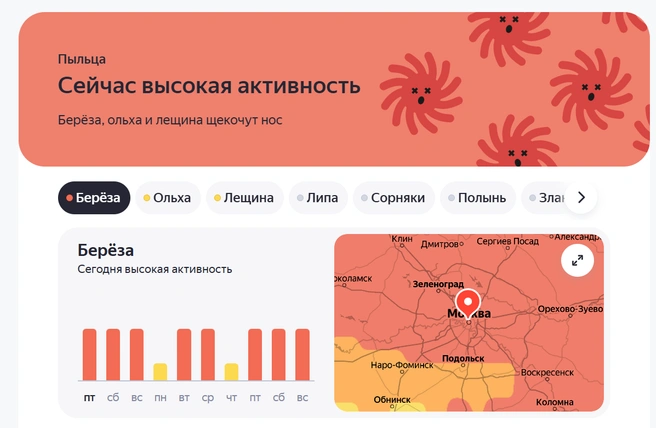 Цветение растений | Источник: Яндекс Карты