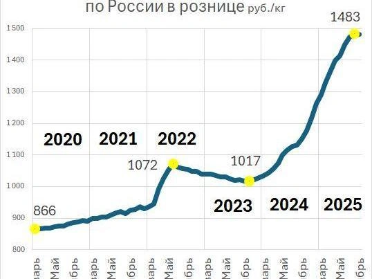 Источник: «Фонтанка.ру»