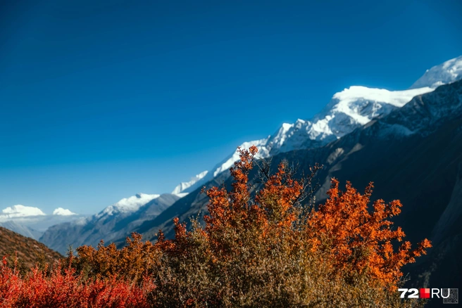 Источник: Екатерина Бурко