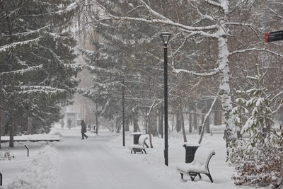 Алтайский край ждут морозы и снежные бури на выходных