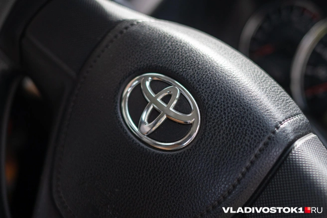Водитель Toyota Aqua намеренно сбил пассажиров | Источник: Елена Буйвол / VLADIVOSTOK1.RU