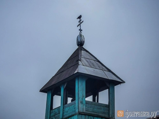 Источник: Ксения Потеева/"Фонтанка.ру"