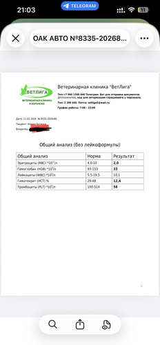 Изображение пользователя