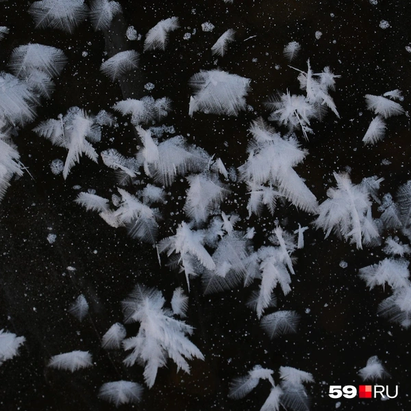 Источник: Тимофей Калмаков / 59.RU