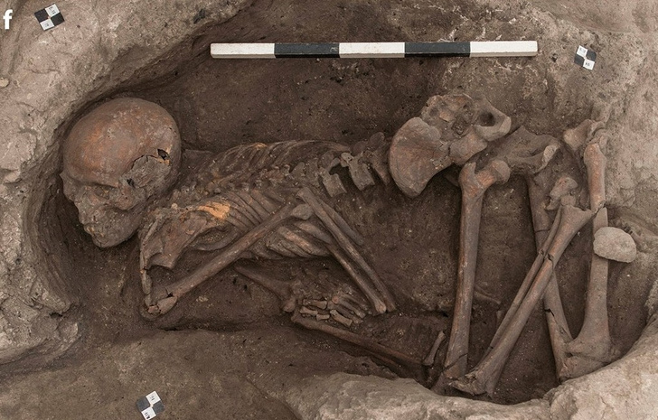 Скелеты под полом: зачем люди неолита хоронили умерших у себя дома