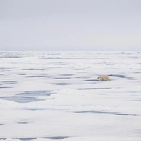 Волшебные места: взгляните на лучшие работы финалистов фотоконурса FAPA 2026 в номинации «Путешествия»