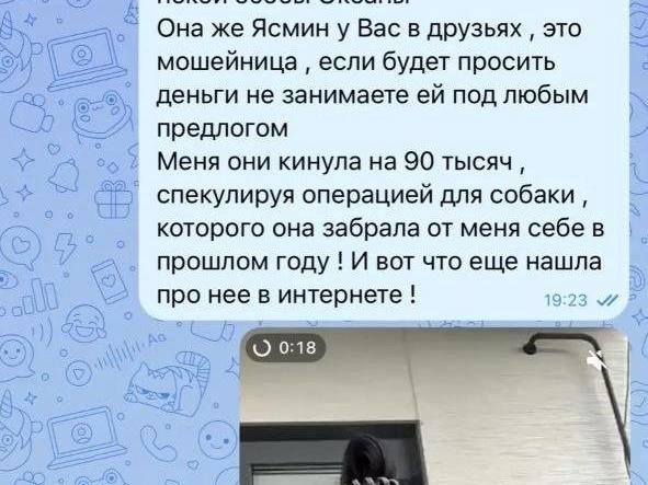 Источник: Читатель 161.RU